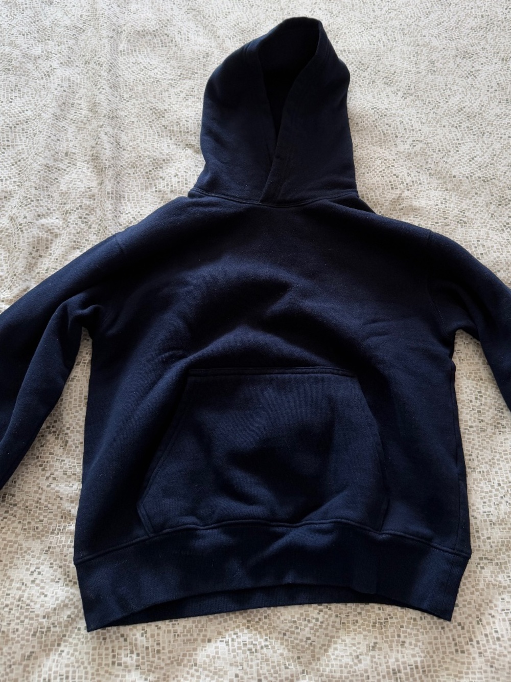 Aritzia Sweatfleece Perfect Fit Hoodie